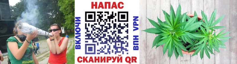 Каннабис SATIVA & INDICA  Купить где  Инза 